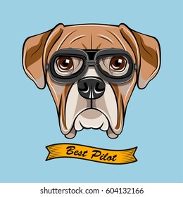 Cute Pilot Boxer Dog Face Traveler Retro Aviator Glasses. Best Pilot Ribbon. Vector Illustration Isolated On White Background.