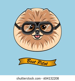 Cute Pilot Spitz, Pomeranian Dog Face Traveler Retro Aviator Glasses. Best Pilot Ribbon. Vector Illustration Isolated On White Background.