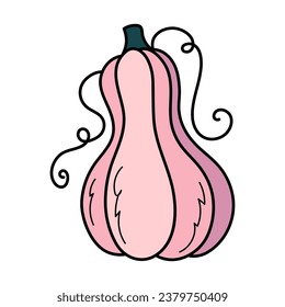 Cute pink autumn pumpkin. Hand drawn illustration for Halloween and Thanksgiving decoration.