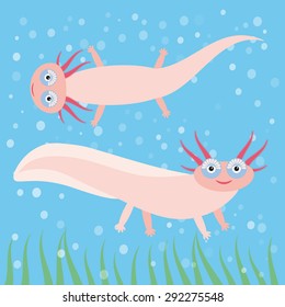 Cute pink Axolotl Cartoon character on blue background in the aquarium (Mexican salamander, Ambystoma mexicanum) albino aquarium animal. Vector