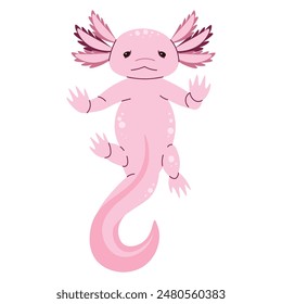 Nettes rosa Axolotl auf weißem Hintergrund. Exotische Amphibie, Meeresbewohner. Für Design, Dekor, Aufkleber