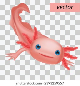 cute pink axolotl swimming transparent background vector 3d