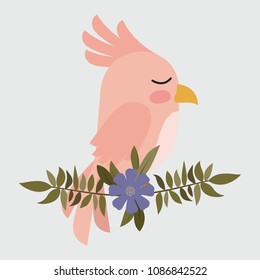 cute pink bird in branch with flower