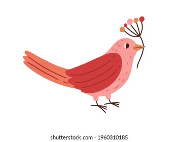 Cute pink bird holding branch with red winter berries isolated on white background. Beautiful birdie standing with sprig of pretty plant. Colored flat vector illustration