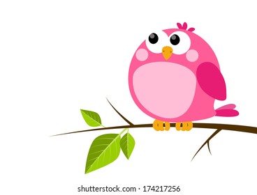 Cute pink bird on spring branch