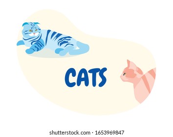 Cute Pink and Blue Striped Colored Cats Icon or Card with Typography Isolated on White Background, Funny Pets, Zoo Store, Veterinary Clinic Design Element, Cartoon Flat Vector Illustration, Banner