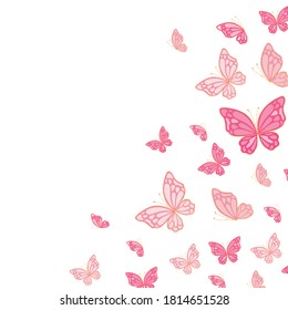 Cute pink butterflies design, Insect animal wings nature summer beauty fly and spring theme Vector illustration