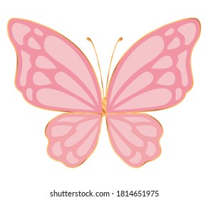 Cute pink butterfly design, Insect animal wings nature summer beauty fly and spring theme Vector illustration