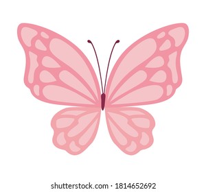 Cute pink butterfly design, Insect animal wings nature summer beauty fly and spring theme Vector illustration