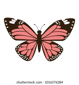 cute pink butterfly wings insect icon