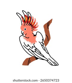 Cute pink cockatoo sits on branch. Funny parrot with crest relaxes on tree. Tropical bird, cockatiel. Happy exotic birdie of jungle. Flat hand drawn isolated vector illustration on white background