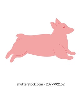 Cute pink dog with heart. little welsh corgi. Cupid. I love you. Valentine's Day. Vector flat design