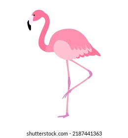 Cute pink flamingo balancing on one leg