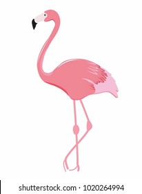 Cute Pink Flamingo bird flower design margarita note book diary
mariposa
stationery,mug,t shirt,phone case fashion slogan  style spring summer sticker and etc pink exotic   