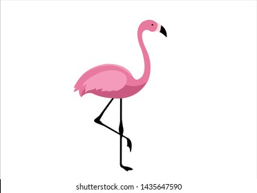 Cute Pink Flamingo bird flower design margarita note book diary
mariposa
stationery,mug,t shirt,phone case fashion slogan  style spring summer sticker and etc pink exotic   