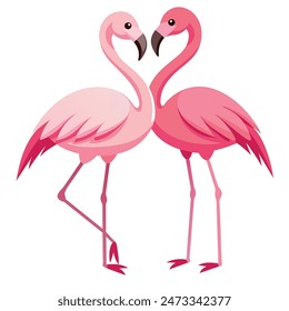 Cute Pink Flamingo Couple Making Heart | Summer Vacation Background of Flamingo