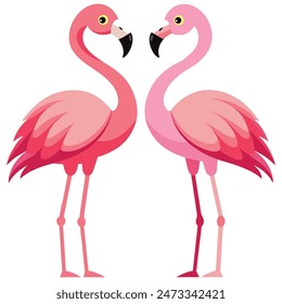 Cute Pink Flamingo Couple Making Heart | Summer Vacation Background of Flamingo