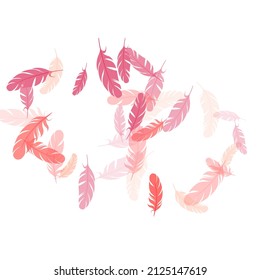 Cute pink flamingo feathers vector background. Bird wing plumage boho line art. Decoration confetti of carnival plumelet. Fluffy twirled feathers on white design.