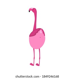 Cute pink flamingo isolated on white background