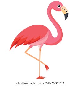 Cute Pink Flamingo On White Background Summer Love Cute Flamingo Couple