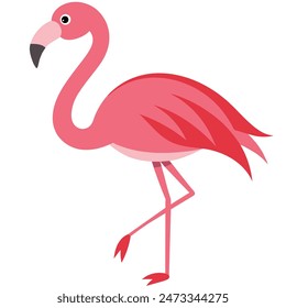 Cute Pink Flamingo On White Background Summer Love Cute Flamingo Couple	