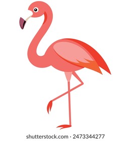 Cute Pink Flamingo On White Background Summer Love Cute Flamingo Couple	