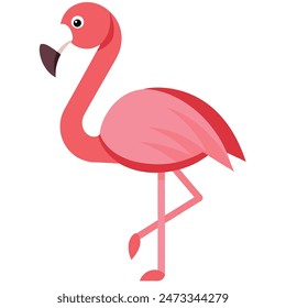 Cute Pink Flamingo On White Background Summer Love Cute Flamingo Couple	