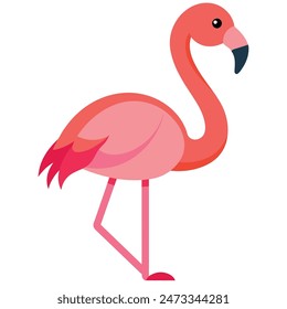 Cute Pink Flamingo On White Background Summer Love Cute Flamingo Couple	