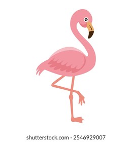 A cute  pink flamingo on a white background.