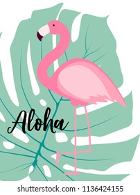 Cute Pink Flamingo Summer Background Vector Illustration EPS10