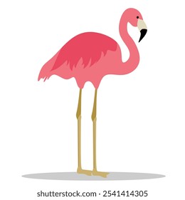 Cute Pink Flamingo. With a White Background. Suitable for a couple's love symbol.