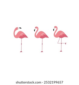 Flamencos rosados lindos con diverso sistema de la pose. Ilustración plana de dibujos animados de pájaros africanos aislados sobre fondo blanco