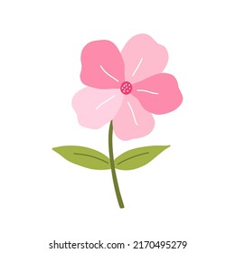 Cute pink flower with leaves isolated on white background. Vector illustration in hand-drawn flat style. Perfect for cards, logo, decorations, spring and summer designs. Botanical clipart.