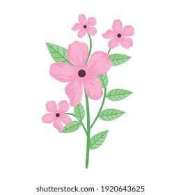 flores y folletos rosas lindos icono de primavera diseño de ilustración vectorial