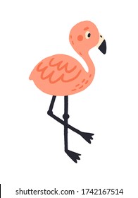 Cute pink hand drawn flamingo vector flat illustration. Adorable exotic colorful bird stand isolated on white. Funny wild winged animal with long legs and neck. Elegant childish tropical character