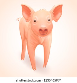 Cute pink pig