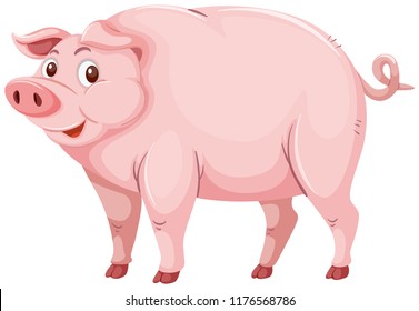 Cute pink pig character illustration