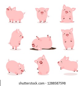 cute pink pig set