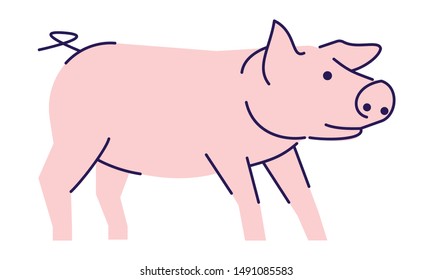 Cute pink pig side view flat vector illustration. Livestock farming, domestic animal husbandry design element with outline. Pork meat production logo. Cartoon piglet, swine isolated on white