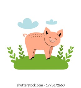 Cute pink pig stands in a meadow. Cartoon farm animals, agriculture, rustic. Simple vector flat illustration on white background with blue clouds and green grass.