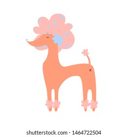 cute pink poodle. vector image isolated on white background