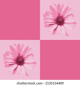 Cute pink postcard. Pink flower. Flowers in pink tones on a pink background