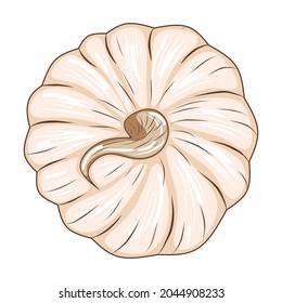Cute pink pumpkin isolated on white background, stock vector illustration for design and decor, sticker