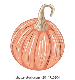 Cute pink pumpkin isolated on white background, stock vector illustration for design and decor, sticker