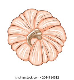 Cute pink pumpkin isolated on white background, stock vector illustration for design and decor, sticker