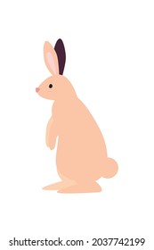 cute pink rabbit standing character