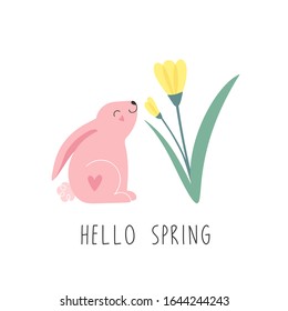Cute pink rabbit, yellow flowers. Greeting card hello spring. Isolated vector illustration on a white background.