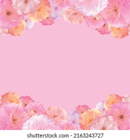 Cute, pink sakura bordered. Pink frame with pink flowers.