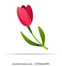 Cute pink tulip vector isolated illustration