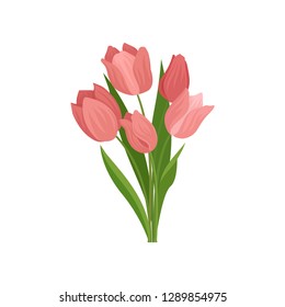 Cute pink tulips with green leaves. Beautiful spring bouquet. Nature theme. Flat vector illustration